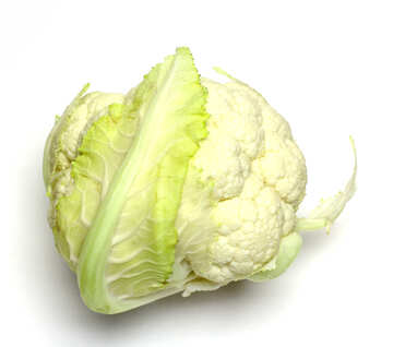 Cabbage vegetable №53640