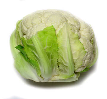 Cauliflower cabbage №53636