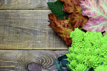 Outono vegetal na mesa de madeira №53664
