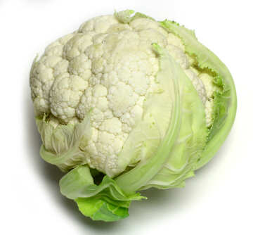 Cauliflower isolated on white background №53628