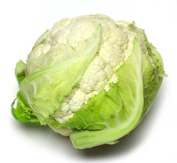 lettuce cabbage №53629