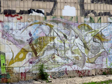 Pittura murale con graffiti №53414