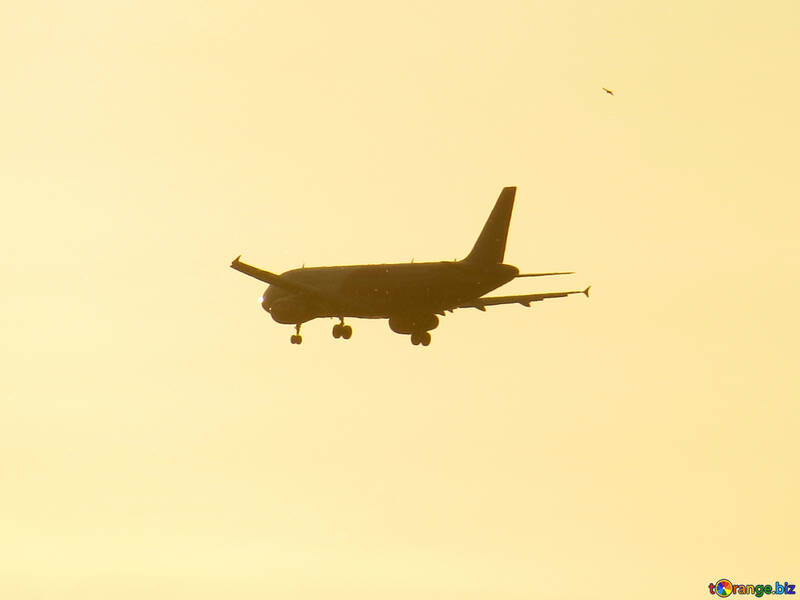 Літак в польоті літака польоту літака Браун небо №53463