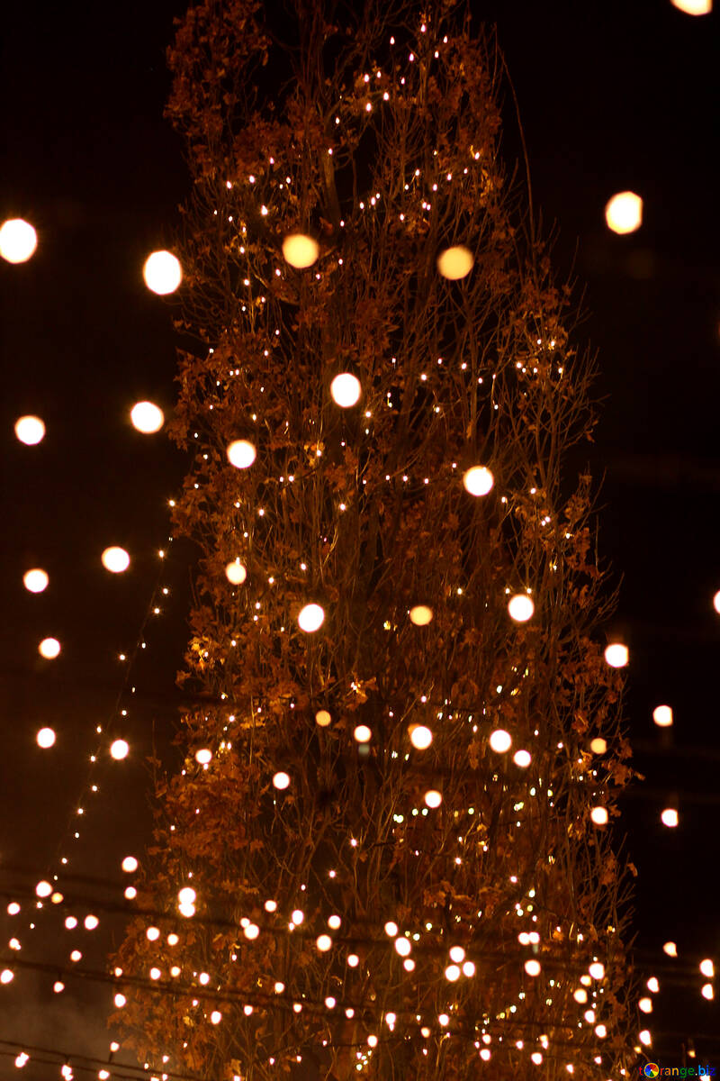 Árvore de luzes de natal №53522