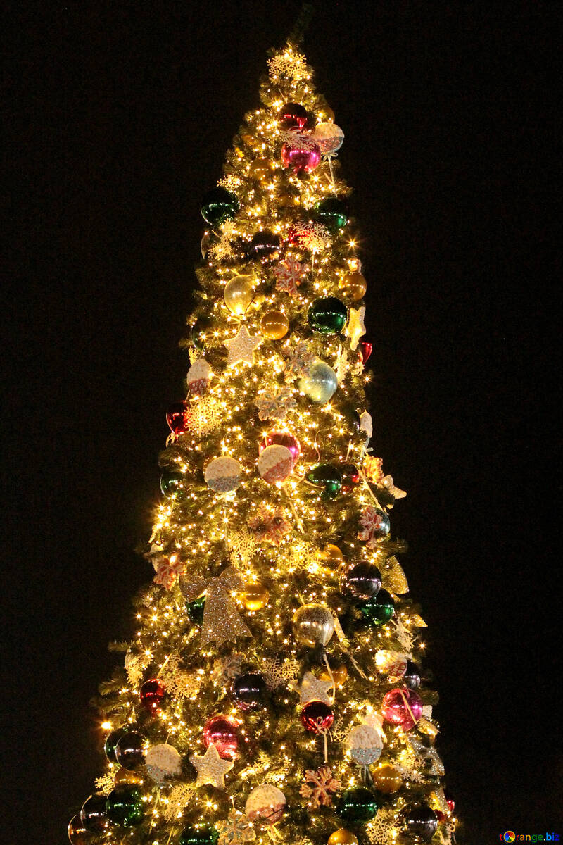 Weihnachtsbaum auf schwarzem Hintergrund №53613