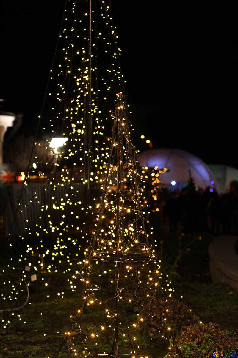 A Christmas tree lights on  tree №53611