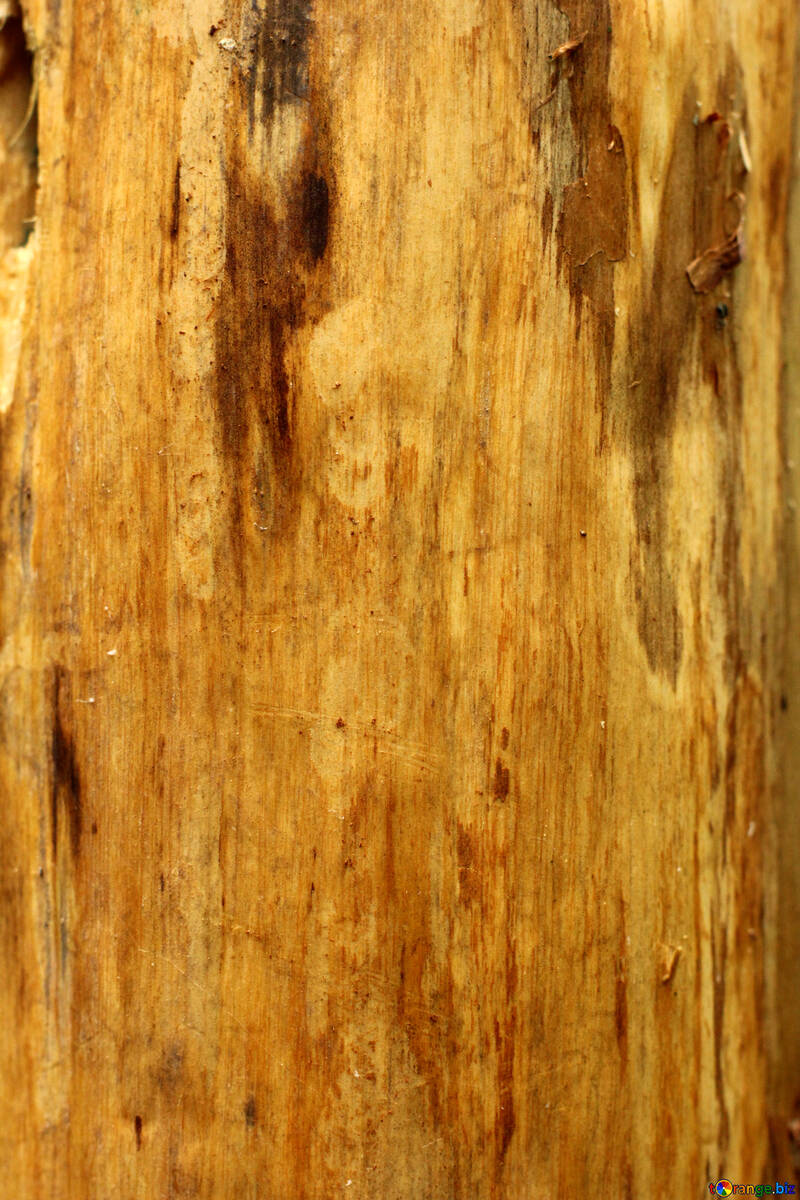 Wood will be background for work №53728
