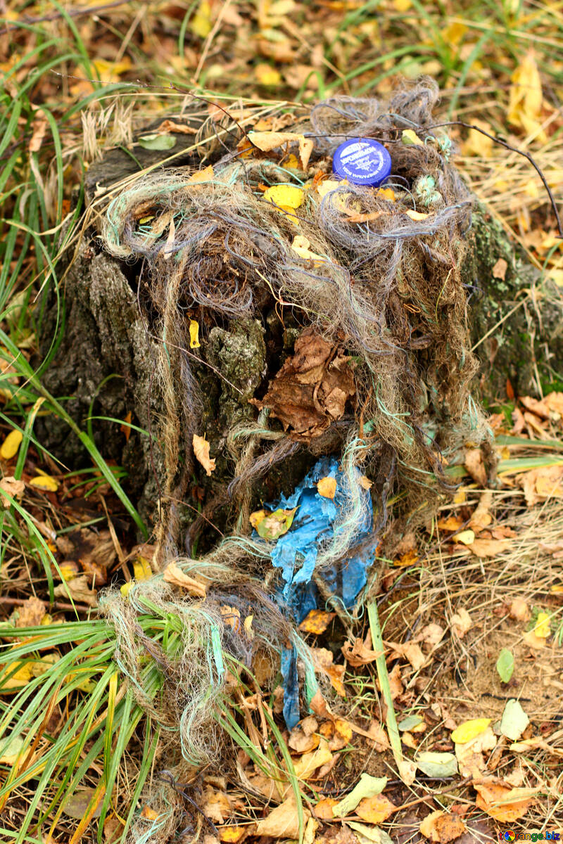 Пластиковий сміття та порвані рибальські сітки на прибережній траві №53741