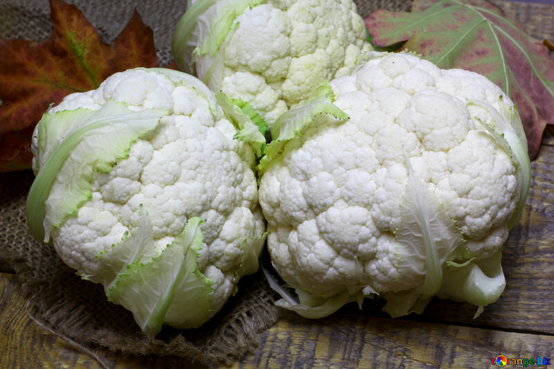 Vegetable close up of cauliflower food ingredient №53669