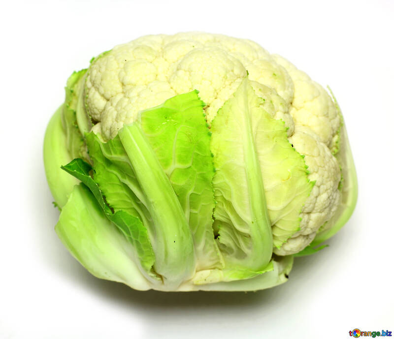 head of cauliflower №53635