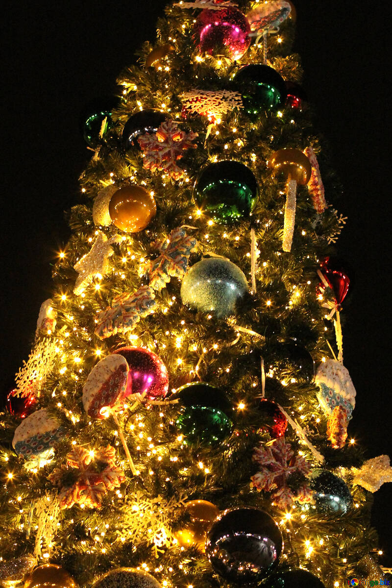 夜にライトアップされたクリスマスツリークリスマスデコレーション伝統休日常緑樹 №53618