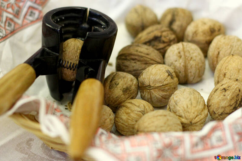Walnuts, one in nut cracker Nutcracker №53111