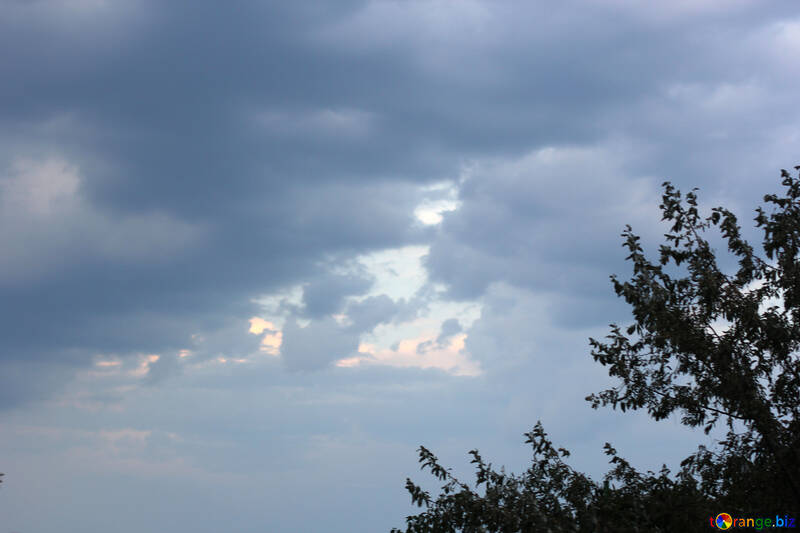 空、雲、木のてっぺん曇り空 №53234
