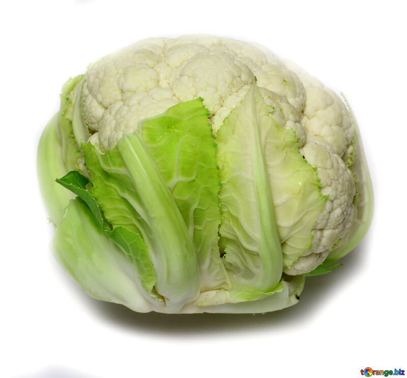Cauliflower cabbage №53636