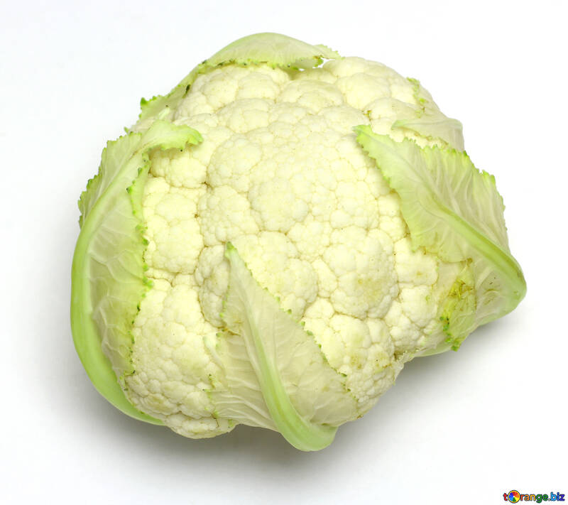 cauliflower cabbage №53641