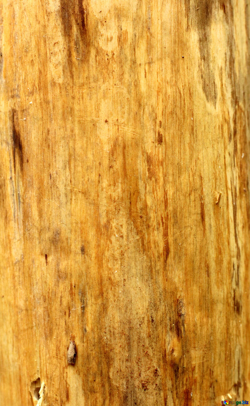 wood panel texture №53727