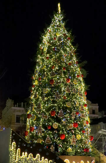Gran árbol de navidad №54067