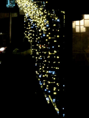 Christmas coors lights night №54041