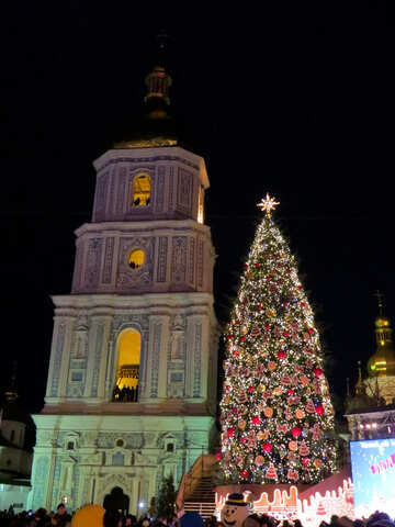 a christmas tree beside a building xmastree №54083