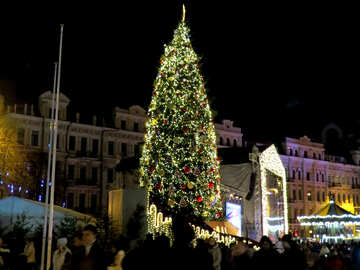 Christmas tree in city №54066