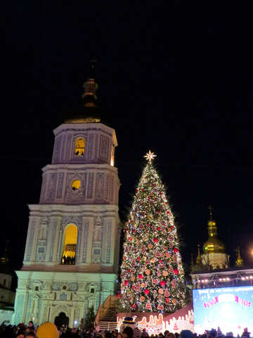 Christmas tree in foreground, tower in background tall bulding №54081