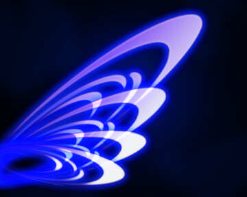 Neon wing №54917