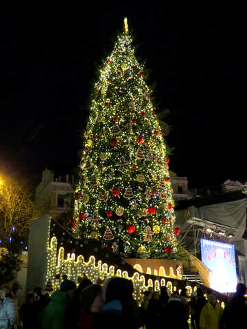 Christmas tree see santa №54068