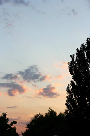 Sonnenuntergang und Wolken hinter Bäumen №54139