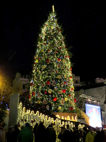 Notte dell`albero di Natale №54071