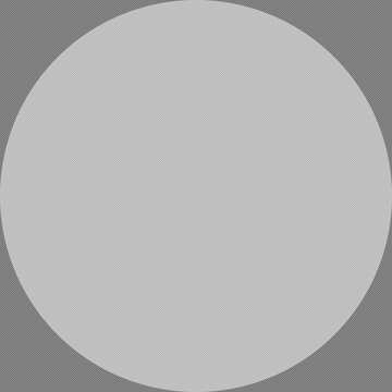 Cerchio bianco trasparente №54730