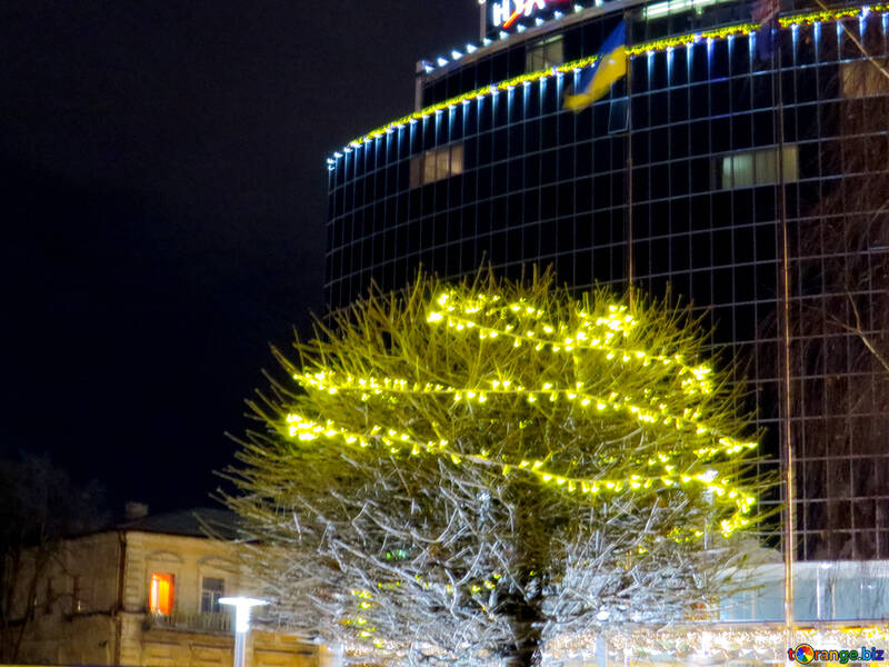 Bellissimo albero con luci natalizie decorate edificio №54122