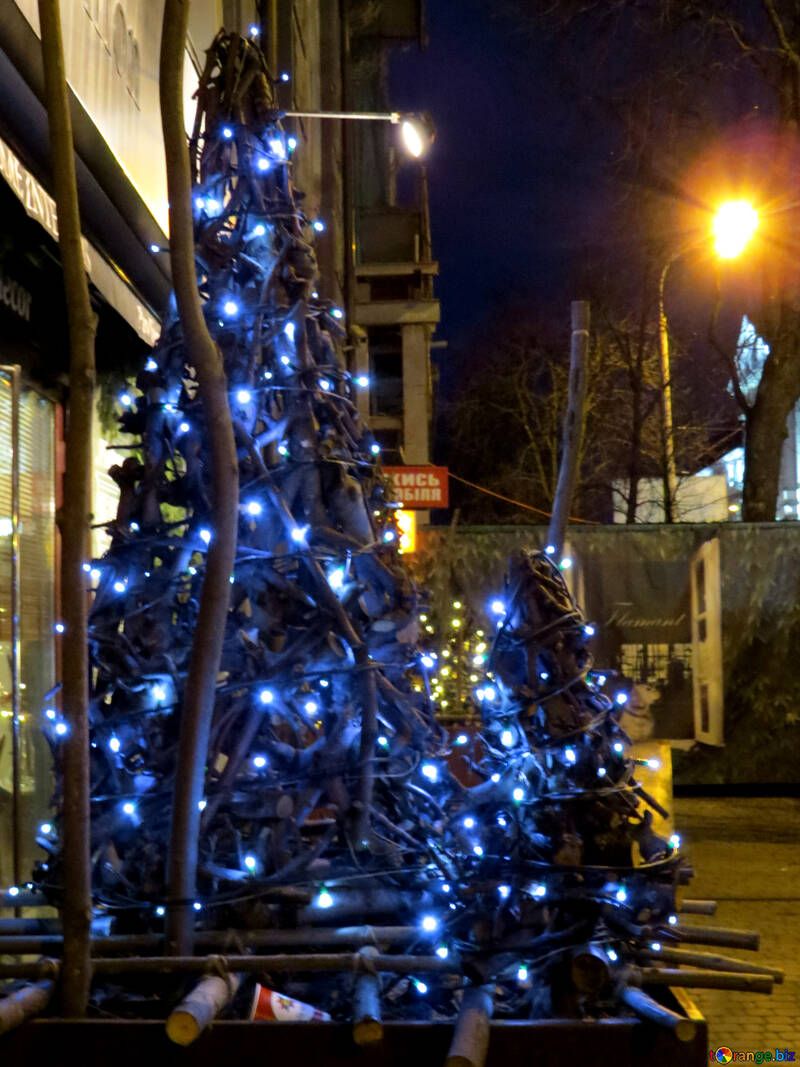 christmas trees with blue lights on the street №54045