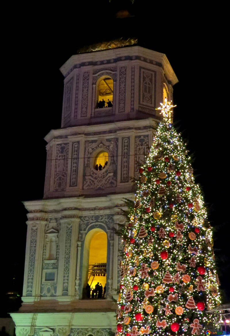 Un edificio alto con un árbol de navidad. №54086