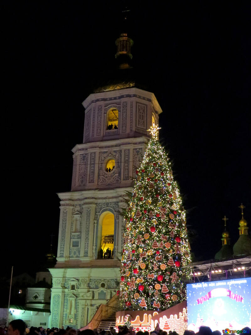 Casa di chiesa della costruzione dell`albero di Natale №54085