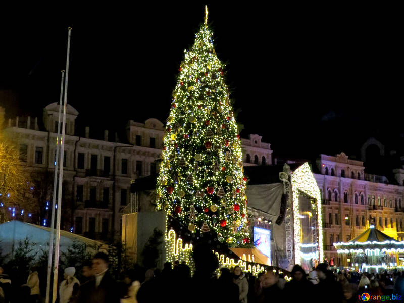 Weihnachtsbaum in der Stadt №54066