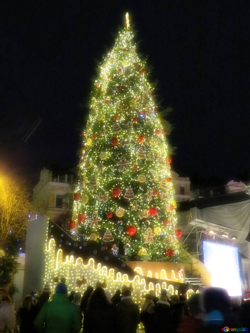Christmas tree on city place №54070