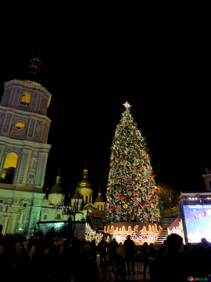 Un árbol de navidad se ilumina y un edificio al lado. №54078