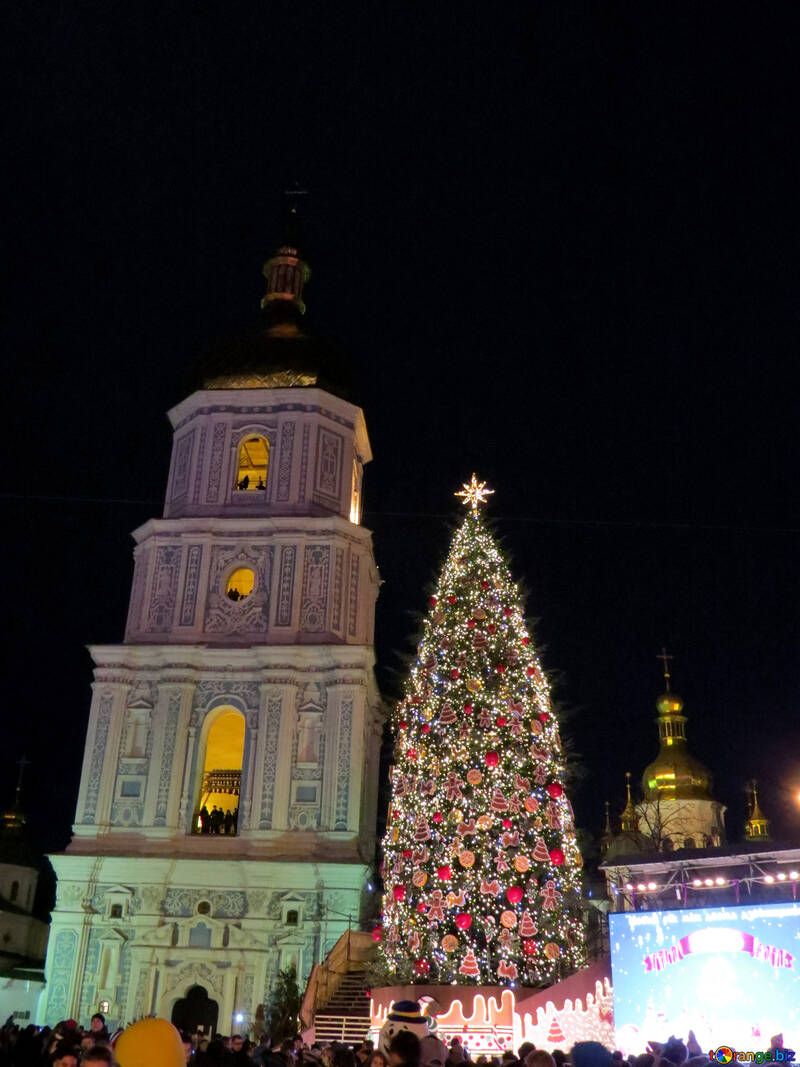 前景のクリスマスツリー、背景の背の高い建物の塔 №54081