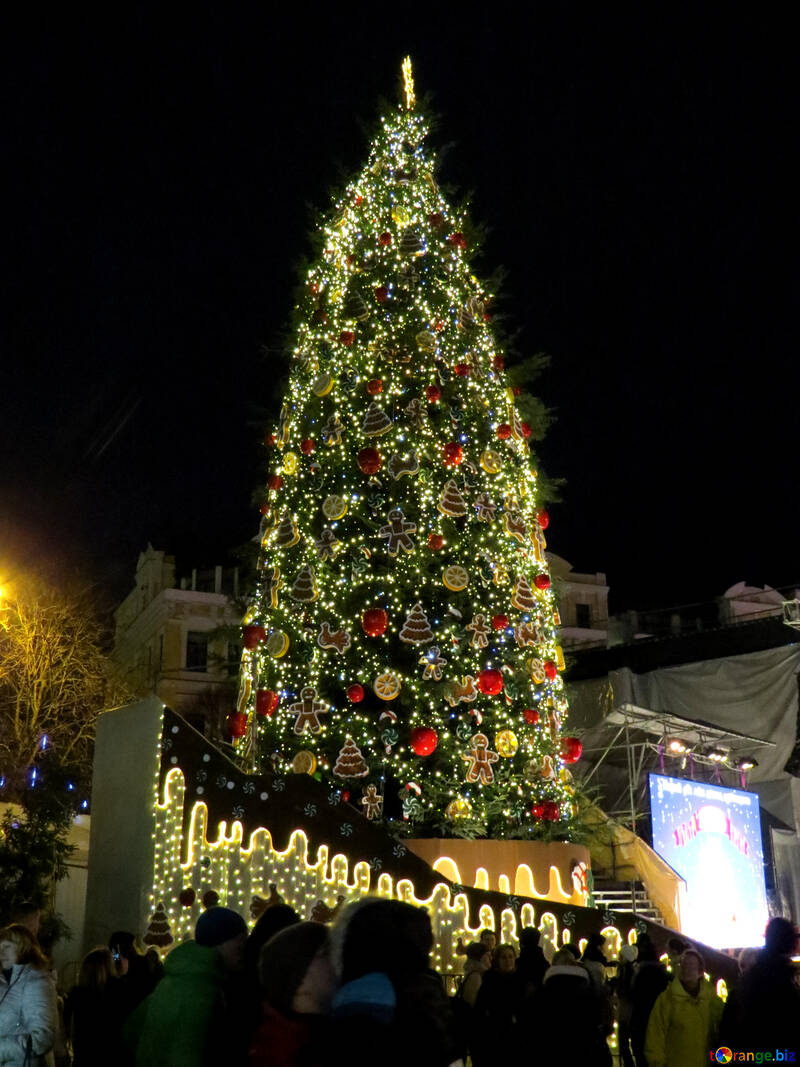 Christmas tree see santa №54068