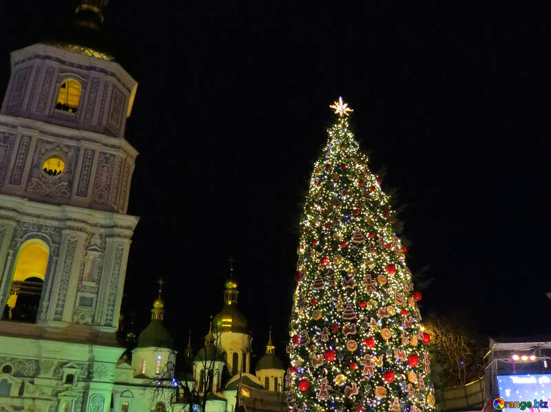 Immagine di Natale dell`albero di Natale della città di Kiev №54080