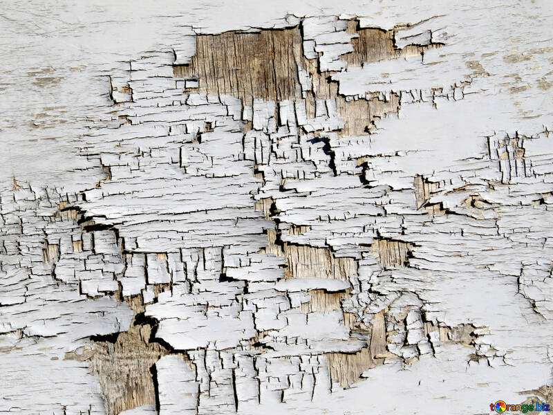 Peeling vernice per legno pitture incrinate №54176