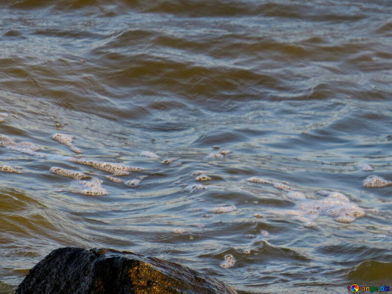 Agua olas del mar №54449