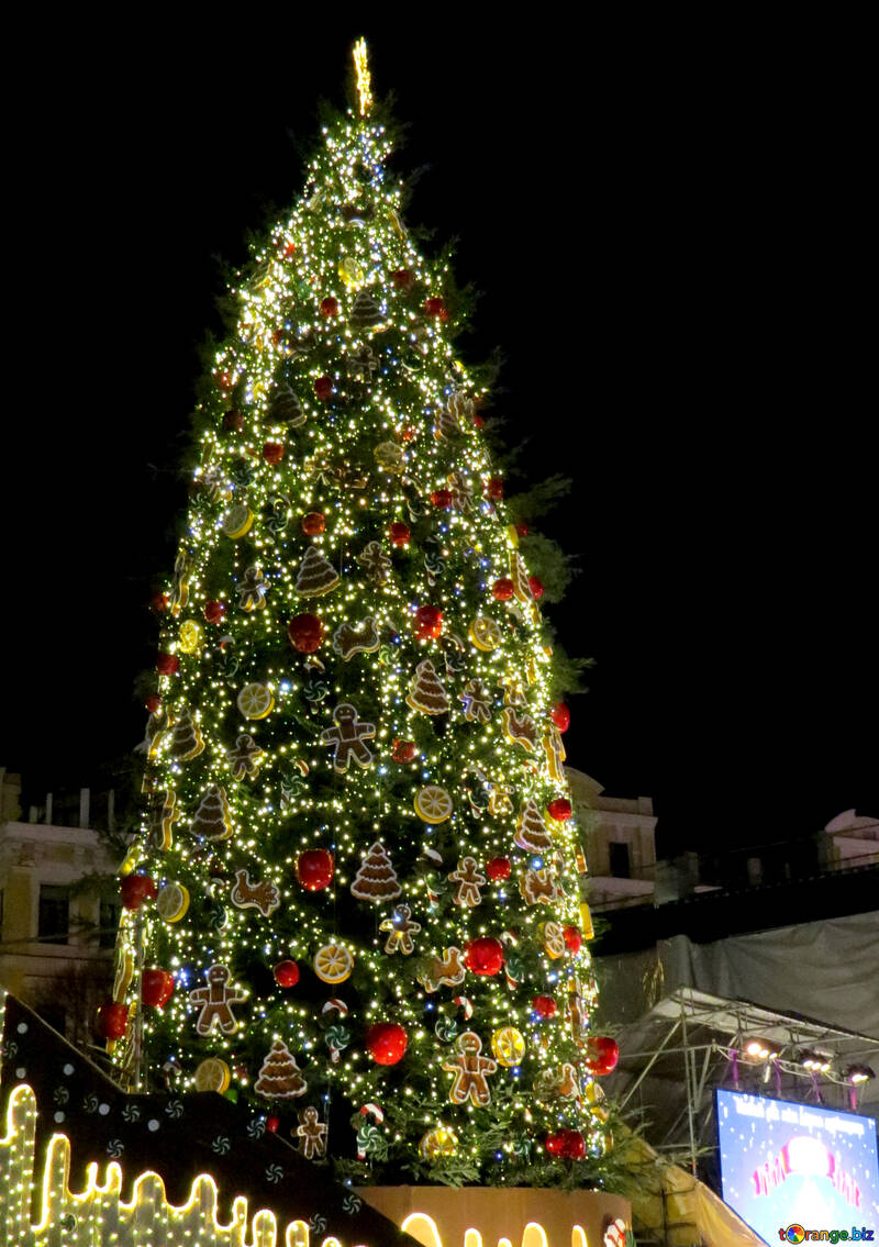 Christmas tree big №54072