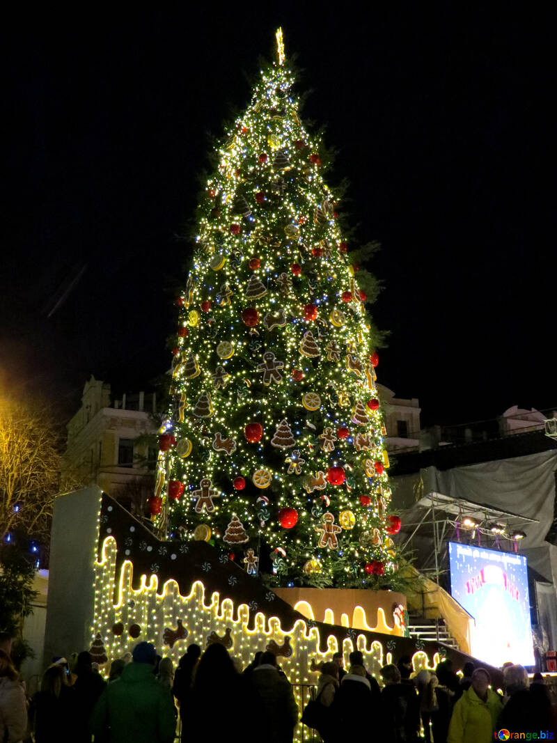 Notte dell`albero di Natale №54071