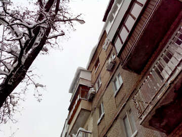 apartment building balconies House tree flats №55997