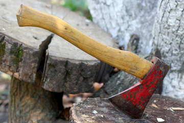 There is an ax stuck in a stump №55501