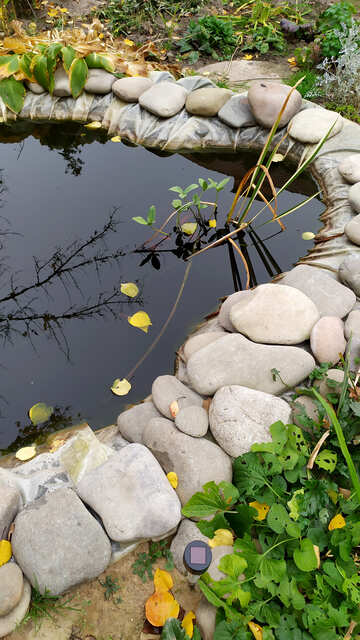Dies ist ein kleiner Teich zur Gartendekoration №55935