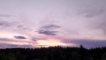 Lila Sonnenuntergang über dem Wald №55834