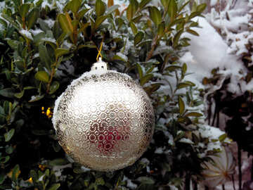 Christmas bulb ornament №55991