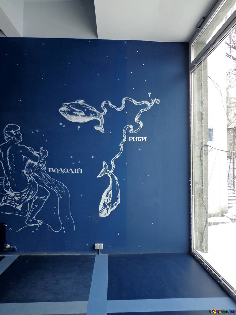Aquarius and Pisces constellation illustrations №55431